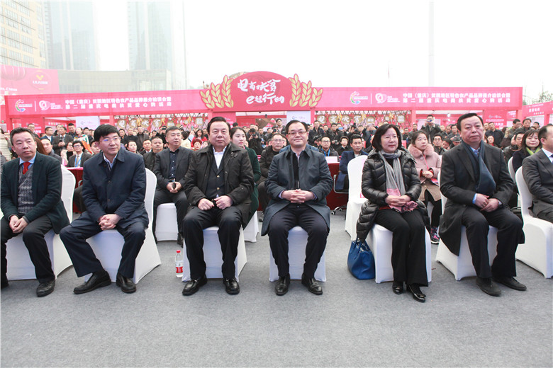8 刘桂平副市长、骞芳莉司长、李晓林主席等领导出席活动.jpg